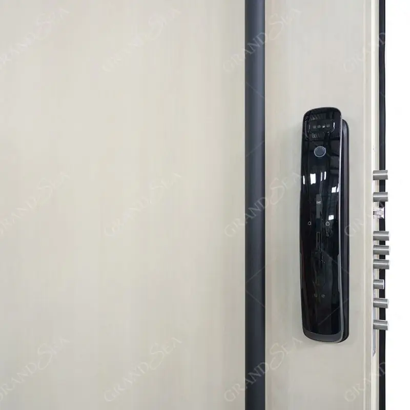 2024 Latest Design Aluminum Design Entry Front Pivot Doors Modern Security Exterior Aluminum Pivot Doors for Houses