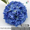 116 กลีบต่อดอกไฮเดรนเยีย สีน้ำเงินเข้ม
