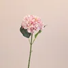ชมพูพีช