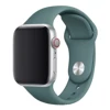 classic style pine needle green