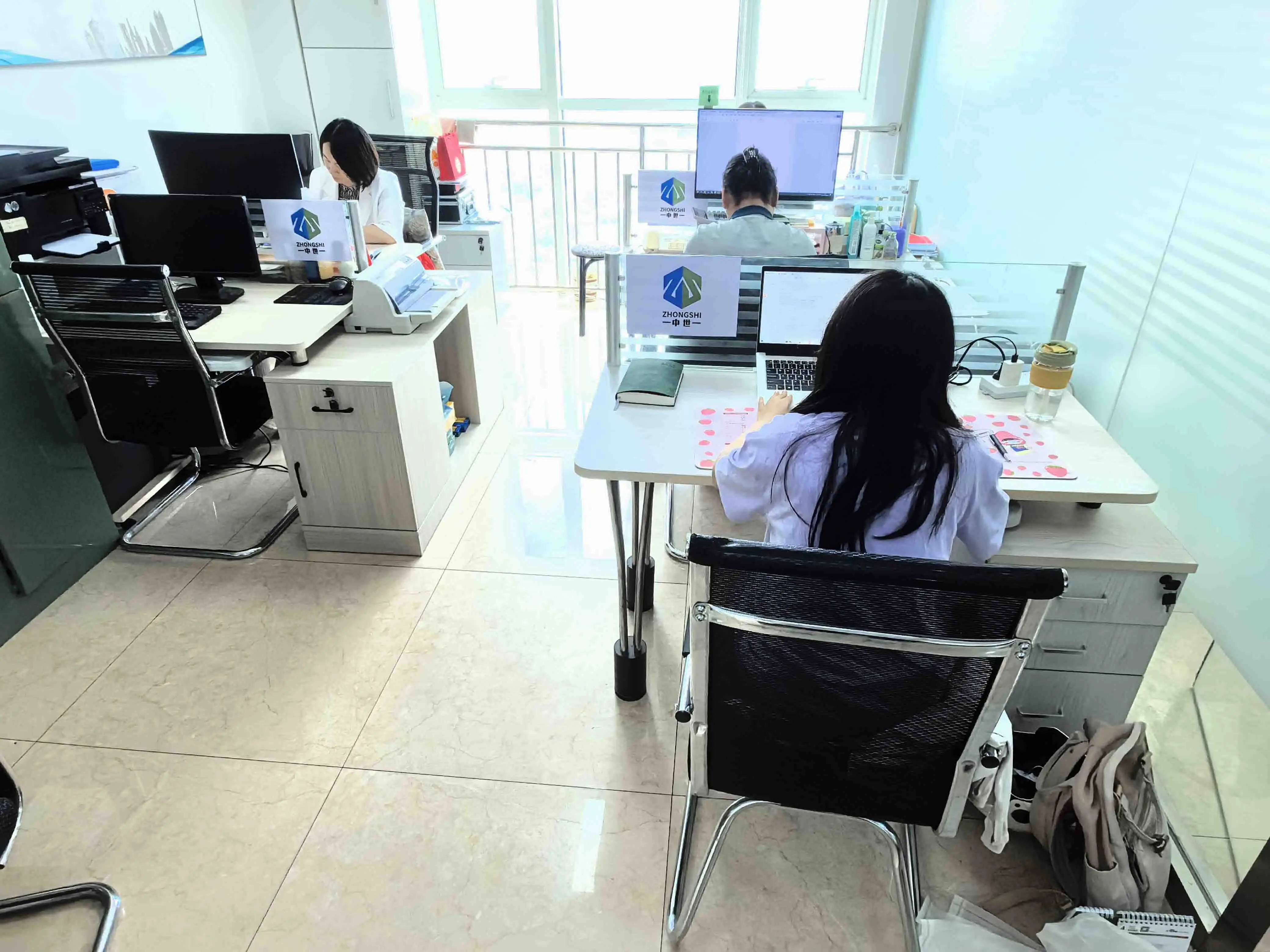 Hebei Zhongshi Shuzhi Technology Co., Ltd. 1