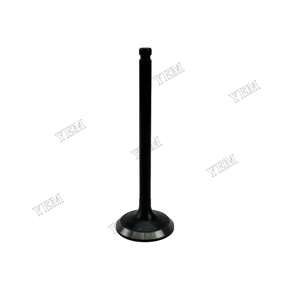 Intake Valve Fit for Mitsubishi S3L Engine 4