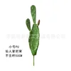 Paquete de mango de cactus pu pequeño-50 cm