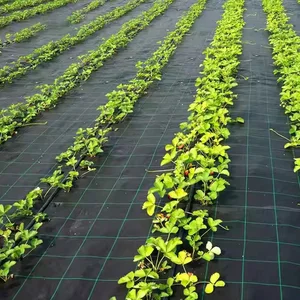 Custom-Size Anti-Grass Control PE Ground Cover Mesh Weed Mat Roll PP Woven Membrane Garden Supplies Mulch Film Garden Supplies