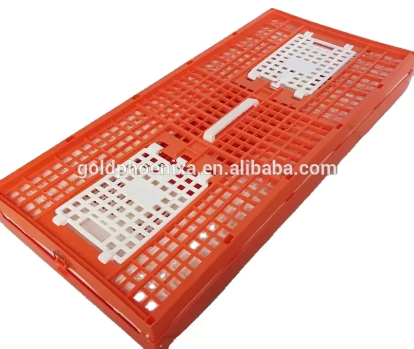 Pigeon Training Crate Folding Transport Cage For Farming Chicken