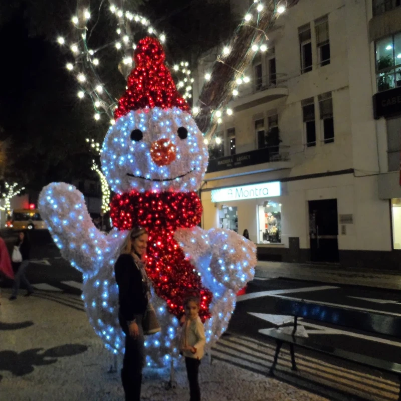 christmas street lights for sale