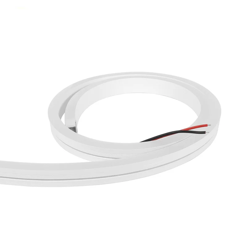 Dynamic Color LED Neon Rope Tube Silicone 5m 10m 20m 50m 100m Flexible Strip Light Soft Lamp Tube IP67 Waterproof for Decoration