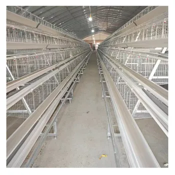Poultry Layer Farm Equipment 4 Tiers A Type Automatic Battery Layer Chicken Egg Laying Hens Cage