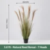 7 bonsai di canna naturale - altezza 110 cm