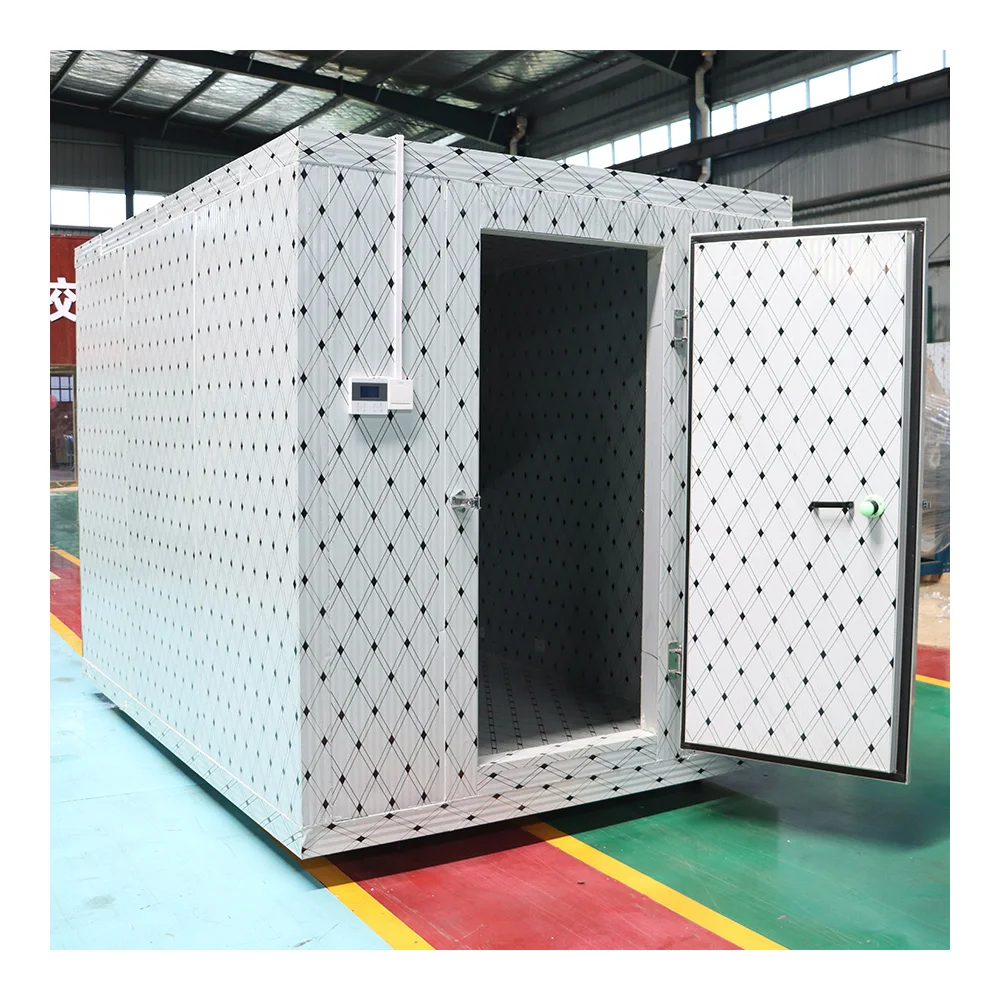 Mobile Walk in Freezer Large Cold Storage Room Vegetables Fruits Meat Cold Room