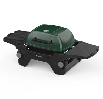 Portable 2-Burner BBQ Grill High Power Adjustable Outdoor Camping Barbecue Durable Metal Iron Construction Propane Gas Folding