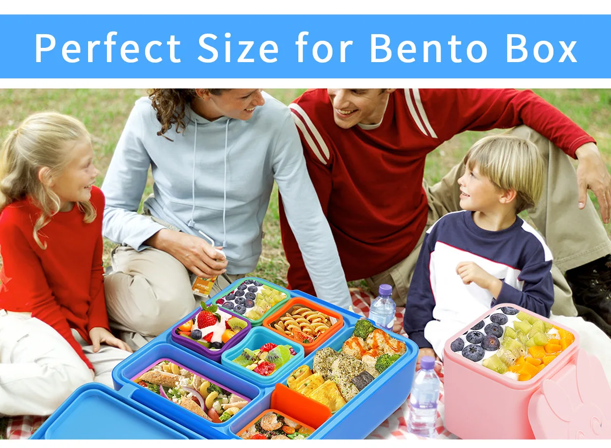 4.5oz Silicone Lunch Box Divider with Leak-Proof Lid for Salad Tomato Sauce Seasoning Dipping Sauce Containers details