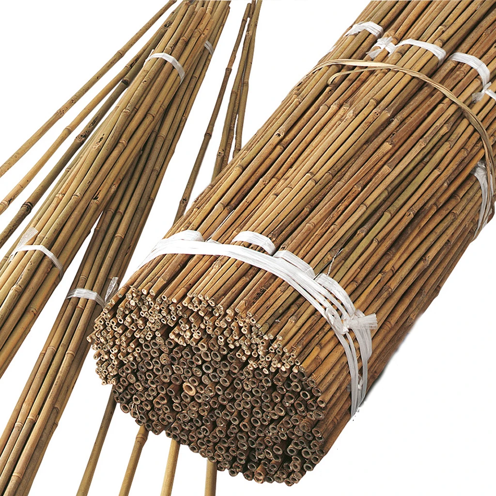 Hochwertige natrliche Bambus farbe Tonkin Bambus stangen Cane Stakes Phyto  sanitary Certified 7 Jahre Haltbarkeit fr Garten pflanzen| Alibaba.com