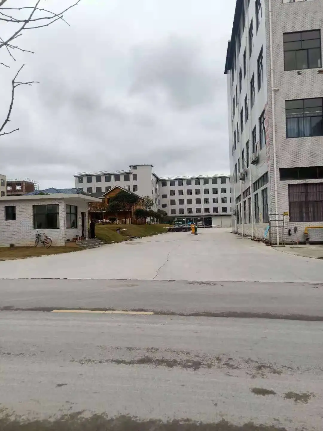 Shenzhen Daily Fun Technology Co., Ltd.