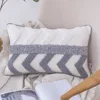 Bandes zébrées de type P