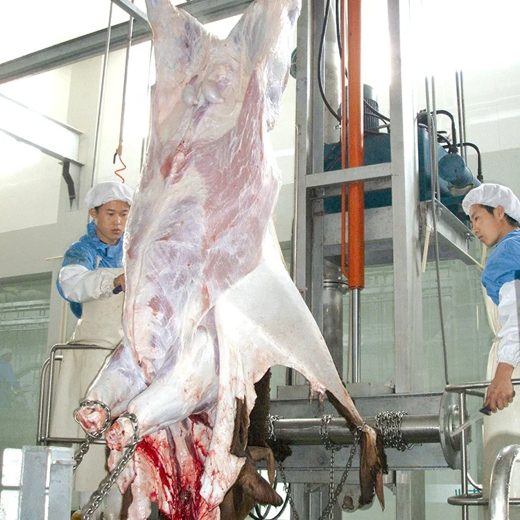 200 cow slaughtering equipment slaughtering machine slaughterhouse poultry