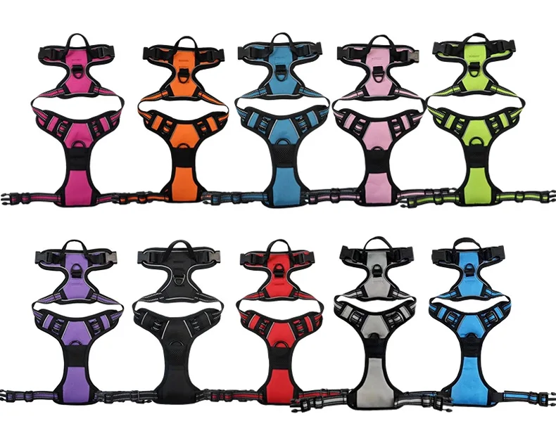 Hot Selling Nylon Outdoor Dog Harness Leash Suitable for Small Medium Large Dogs Pet Products supplier