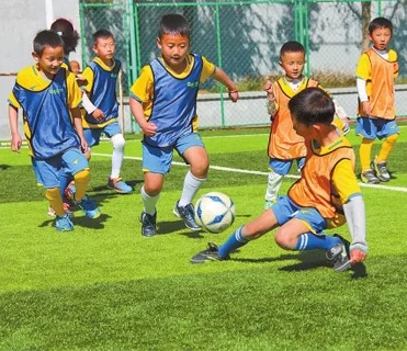 product custom cheap print name reversible sublimation foldable polyester fiber bib soccer training vest-9