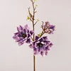 Pourpre