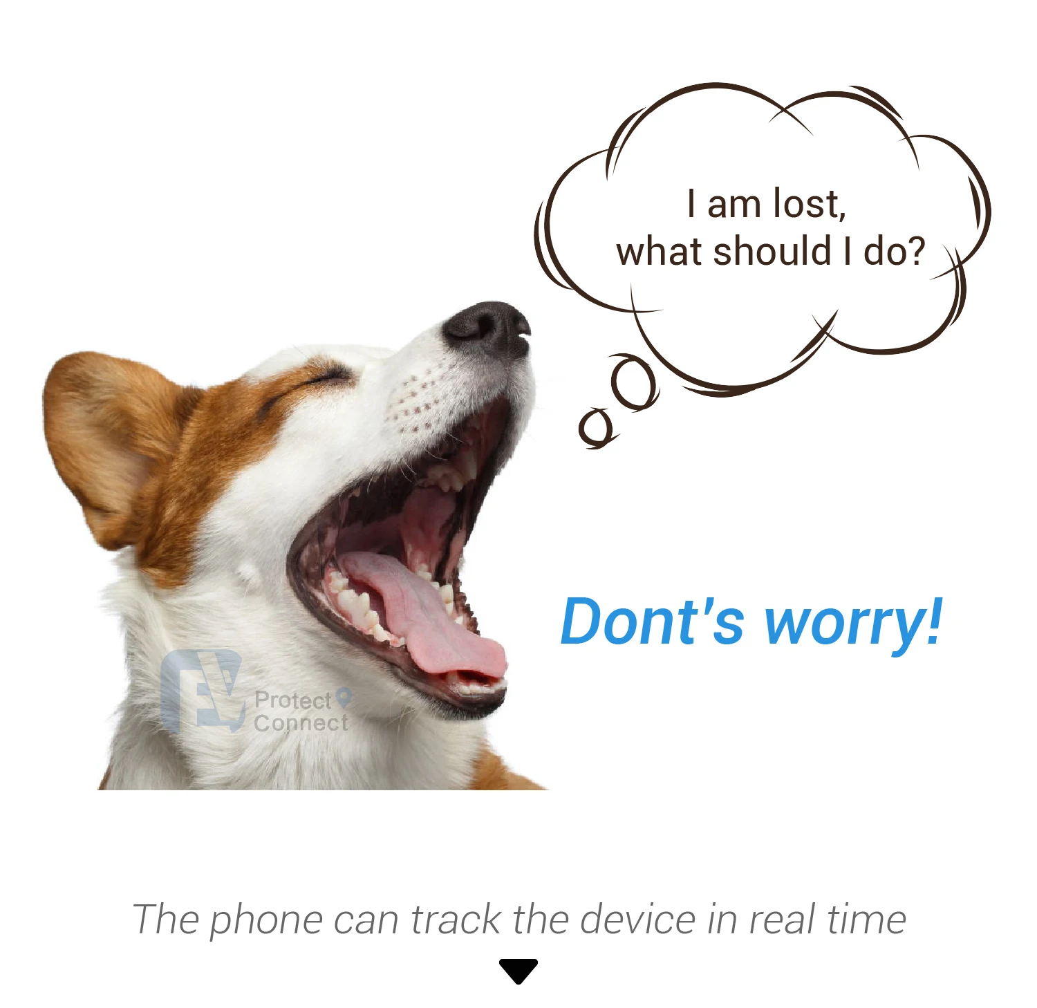 Real Time Tracking Smart Geo Fencing Pet Collar GPS Tracker for Dog Cat