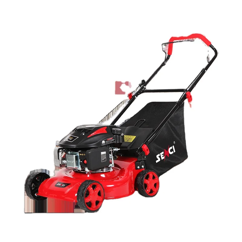 Gasoline Lawn Mower LMA17P30