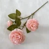 Carne rosa