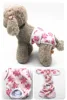 Owl-printed doggy-style period underwear