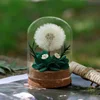 Green - 5