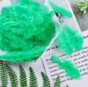 Verde hierba