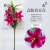 ลิลลี่ฟิล์มพิมพ์ 3 มิติแบบกิ่งสูง สีม่วงแดง