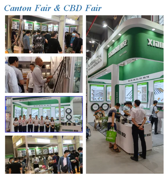 exhibition