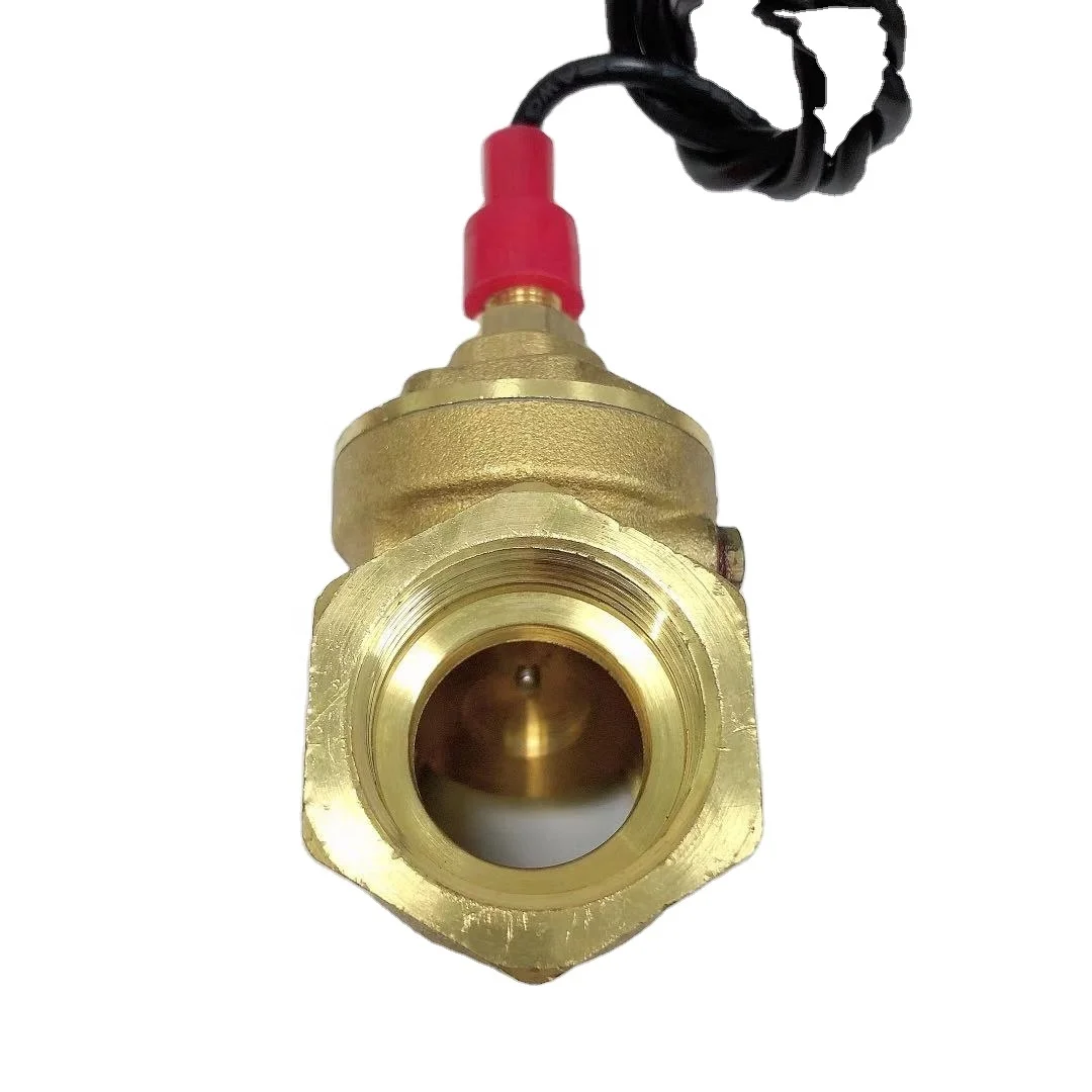 Water Flow Switch 220V Electronic Flowmeters Brass Baffle Flow Switches DN25 Automatic Water Flow Switch for Heat Pump