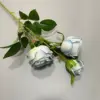 #7 Rose