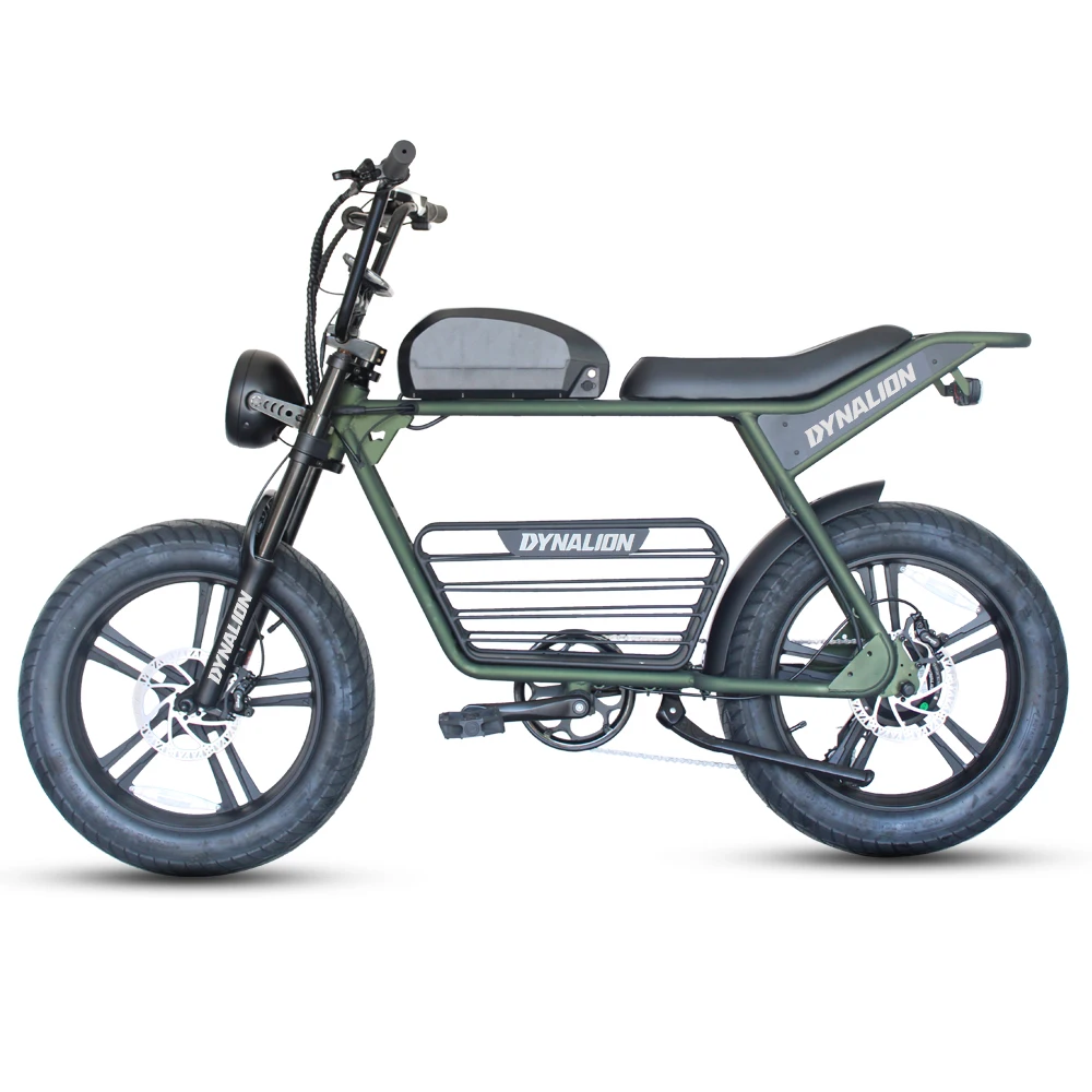Retro Dirt Super Electric Mountain Bicycle 73 Fat Tire 20inch 1000w E 