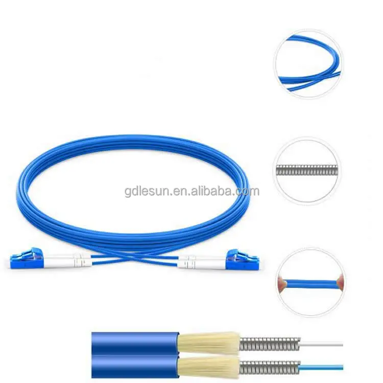 Single Mode 2.0mm 1m 2m 3m 5m 10m Sc/pc Armored Fiber Optic Patch Cord ...