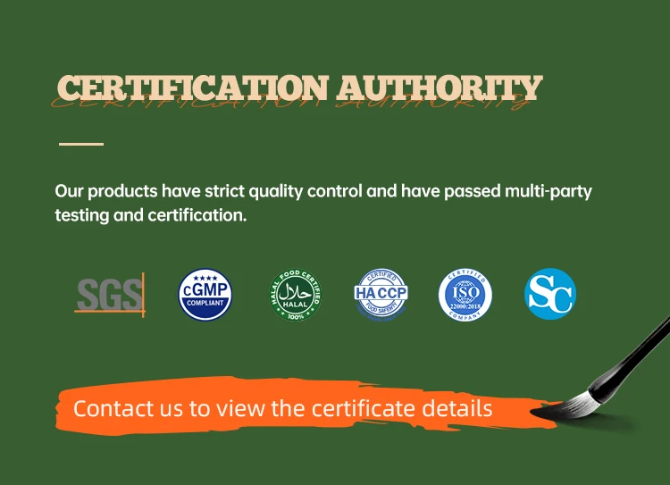 OEM Private Label Body Magic Chlorophyll Capsules Adult-Friendly Parsley Leaf Supplements for Health and Wellness One Bottle