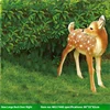 N jaune