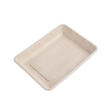 Disposable Tableware Environmental Protection Bagasse Rectangle Tray 2d ...