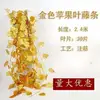 Golden Apple (1 pack of 12)