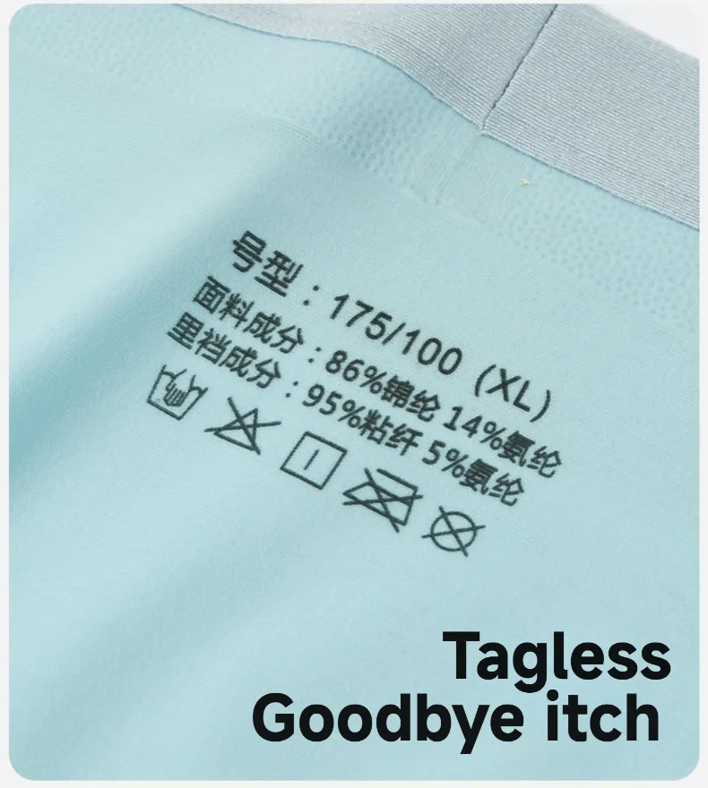 New Arrival Men's Underwear Breathable  Antibacterial Ice Silk Men's Briefs Nylon Men's Underpants Custom OEM Supplier