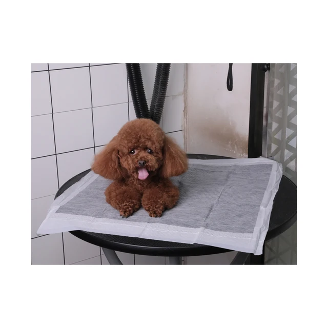 Disposable Pet Training And Puppy Underpad Biodegradable Eco Friendly Doggy Pee Pad For Pet