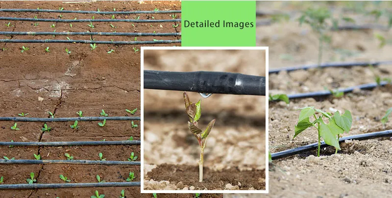 Agricultural HDPE Drip Irrigation Pipe 16mm 0.8 Thickness 30cm Hole Space 500m/roll Durable Drip Line H0b0ed845818348278bf81bcd00a368a9B