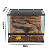 Pet climbing tank