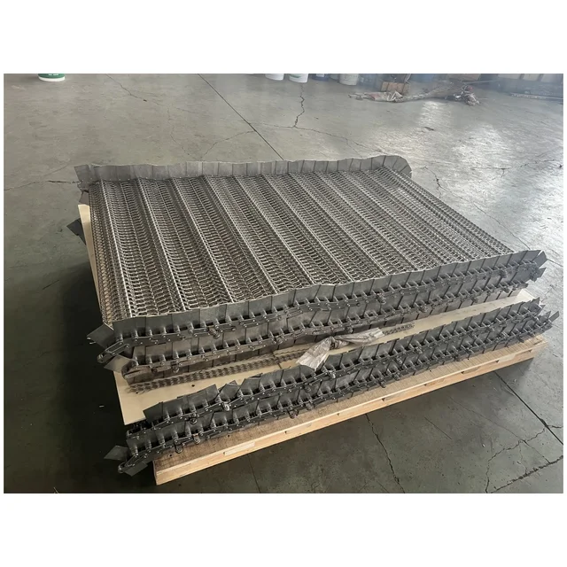 Stainless Steel TECONWAY Corrosion Proof Wire Mesh Belt Conveyor for Sludge Drying Chamber 6
