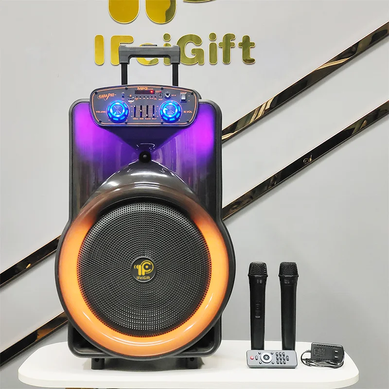 IF-1503Q New Speaker Box OEM 15 Inch with Wireless Microphones