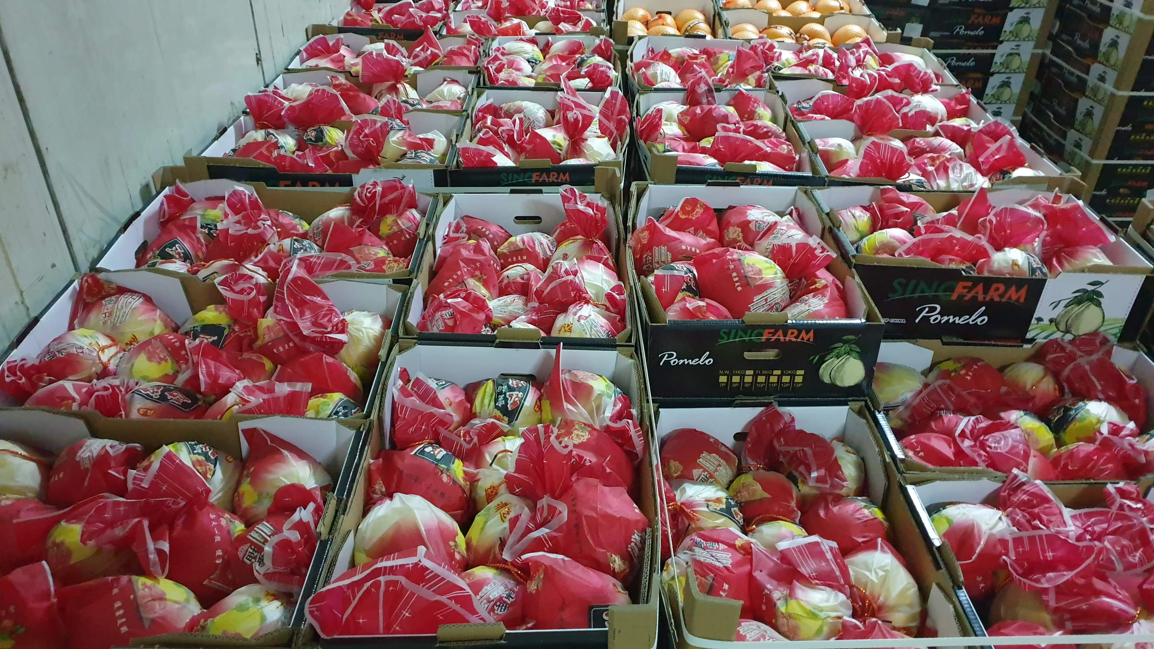 Fresh Honey Pomelo 2022 New Crop Supply With High Quality Chinese White