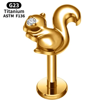 G23 Titanium Gold Stud Earrings 16G Squirrel Style Earring Screwback Studs Cartilage Helix Conch Lobe Fashion Piercing Jewelry