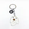 Blanc-1