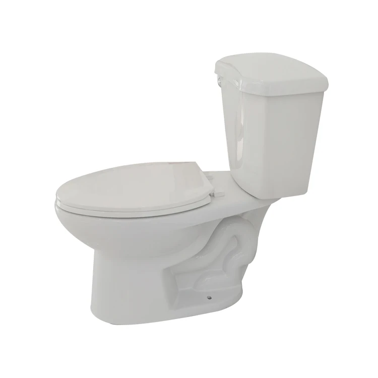 Hot Sale Dual Flush Two Piece Siphon Flush Toilet Bowl OEM ODM South America Porcelain WC