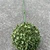verde 9#